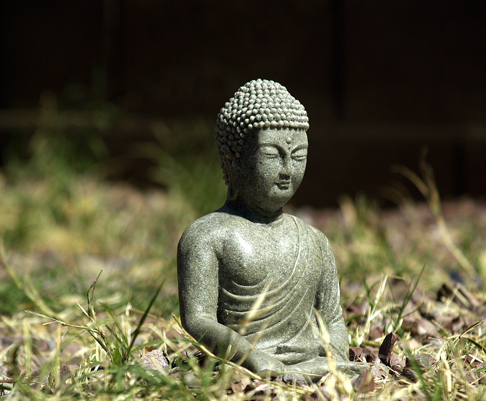 Aromas e florais na cura psicossomática - Zen Garden (Foto: Chris Dodson)