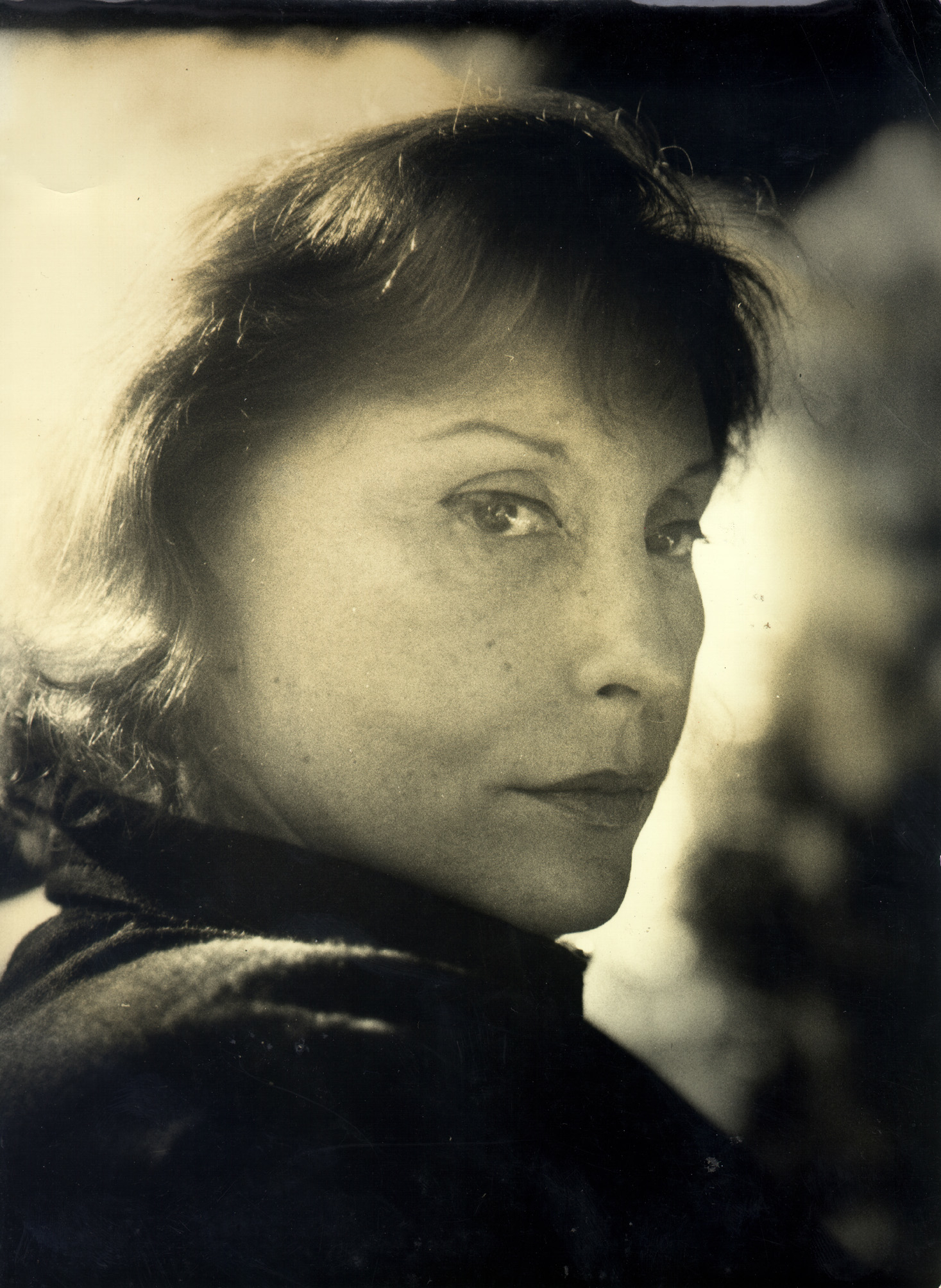VI Festa Literária Internacional de Pernambuco - Clarice Lispector (Foto: Divulgação)