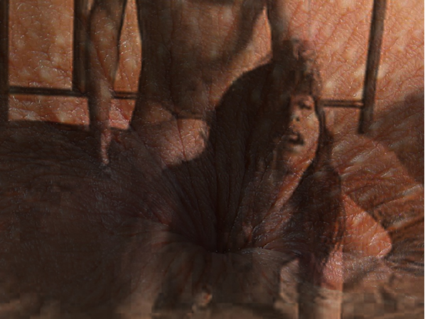 O sexo anal no meio das mulheres - 